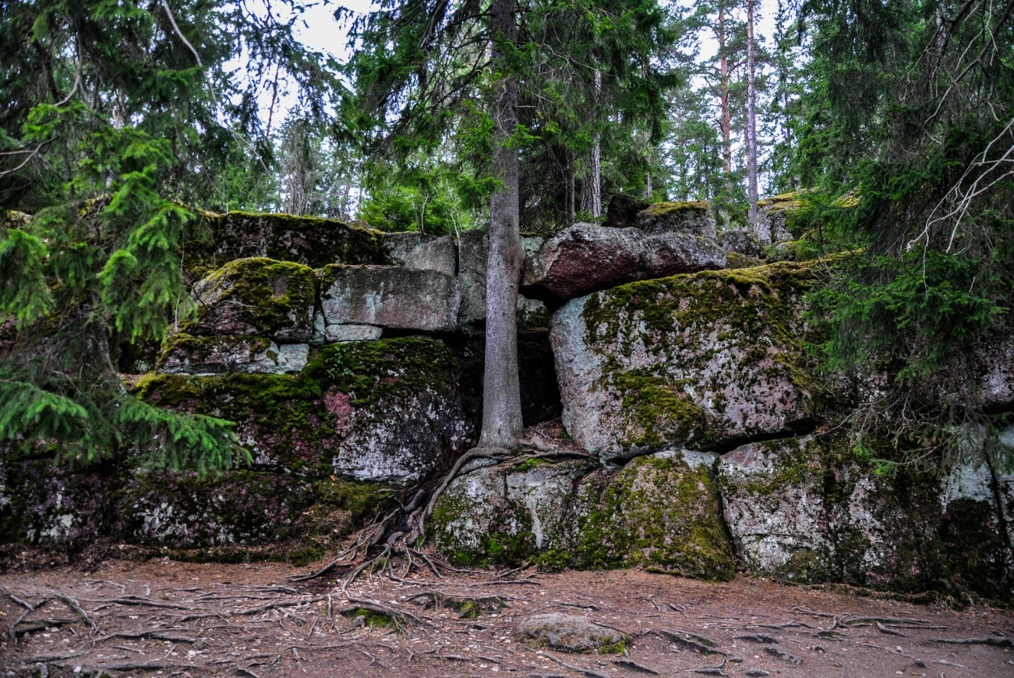 Парк В Выборге Фото