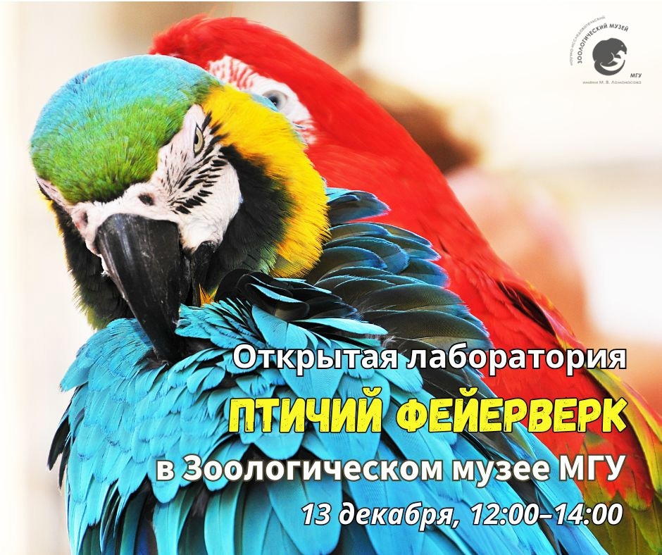 Открытая лаборатория «ПТИЧИЙ ФЕЙЕРВЕРК»<br />13 декабря 12:00 - 14:00