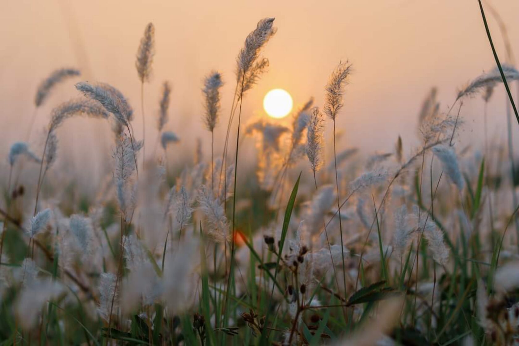 Галерея фото глэмпинга Остров Подмосковье