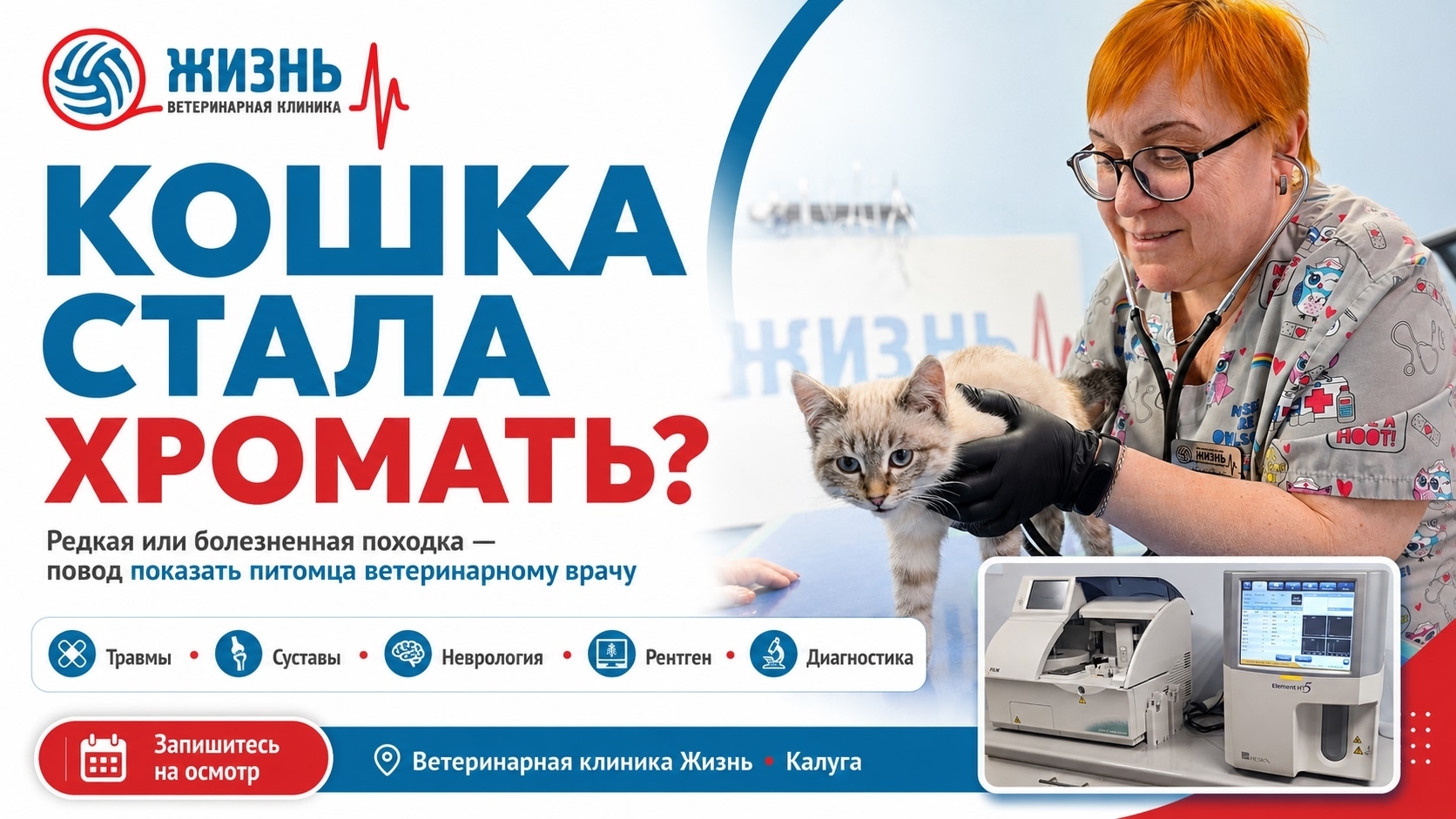 Ветеринарный врач ортопед в Калуге. Ветклиника Жизнь.
