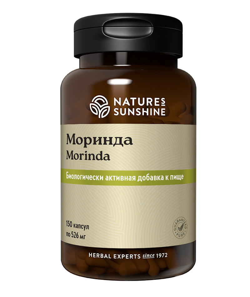 morinda-nsp