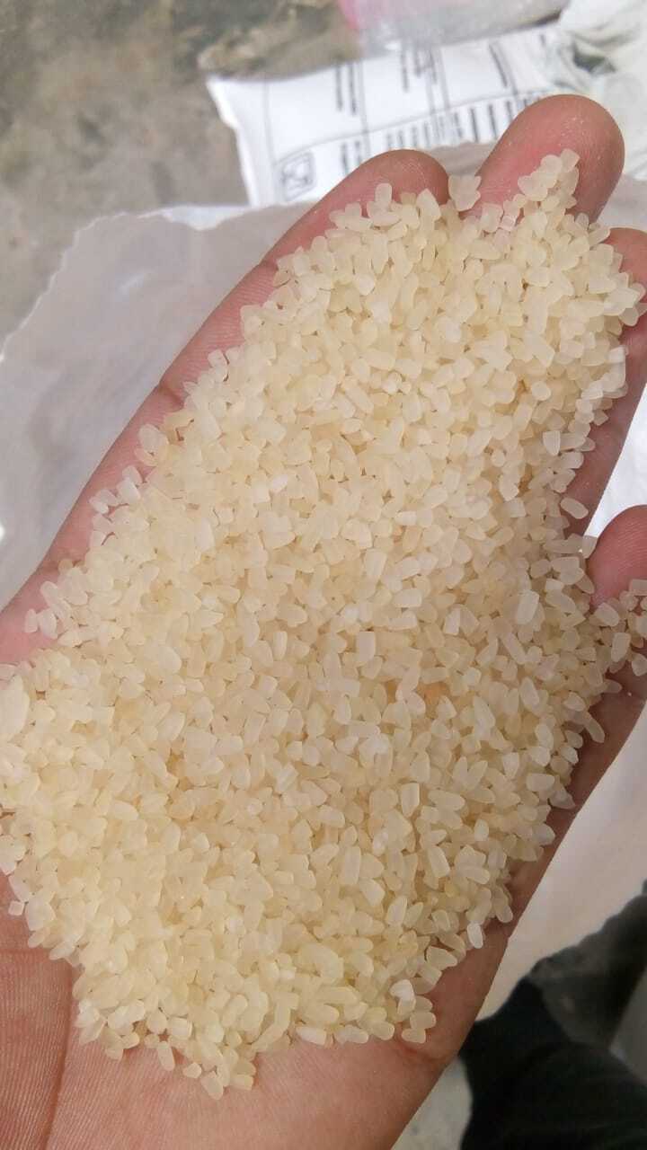 Pakistan Rice