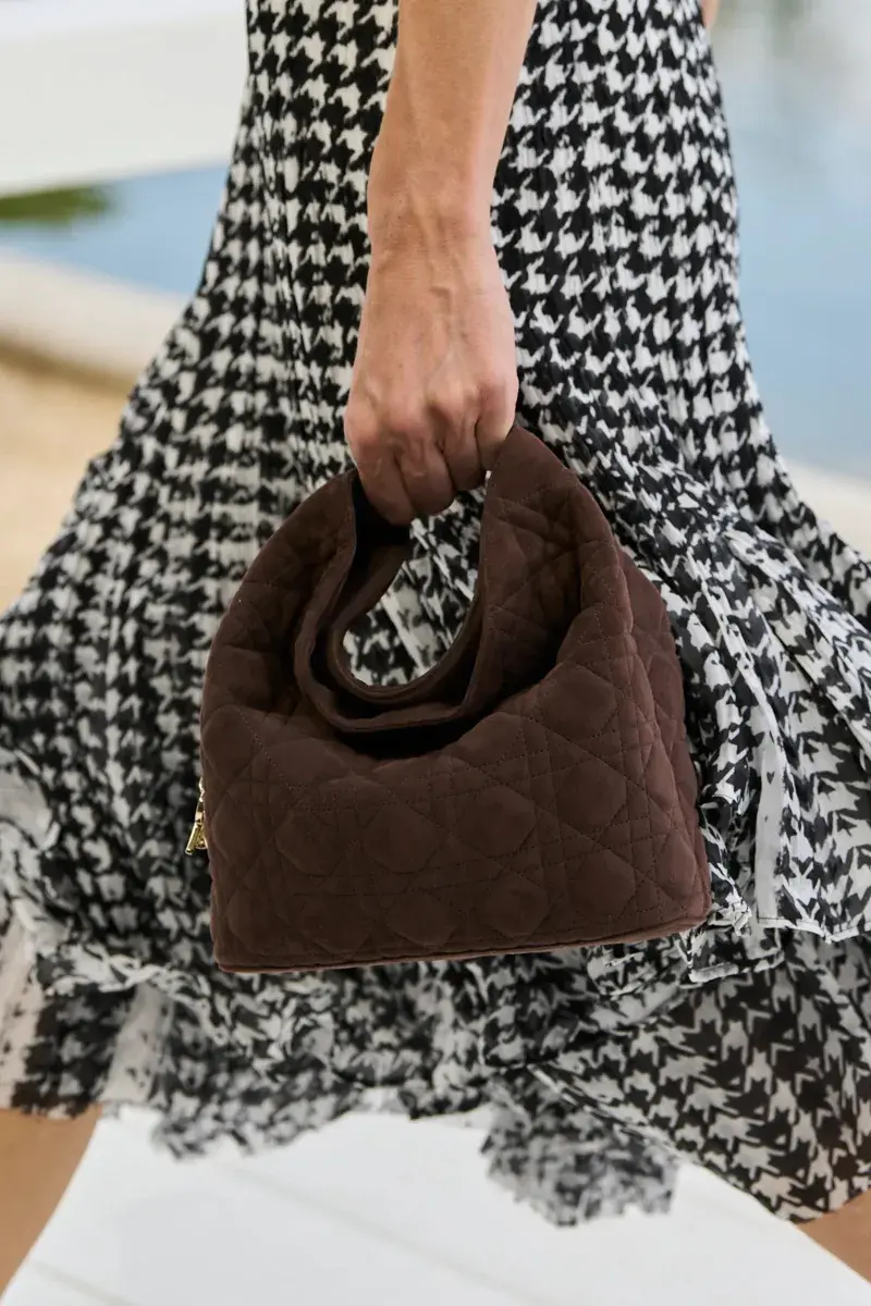 Сумки Dior Spring 2027 28