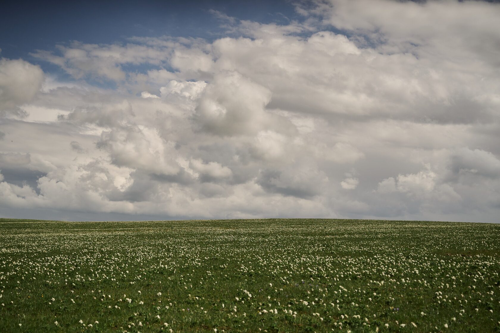 Альпийские луга в авторском туре на Кавказ от Старостин тревел