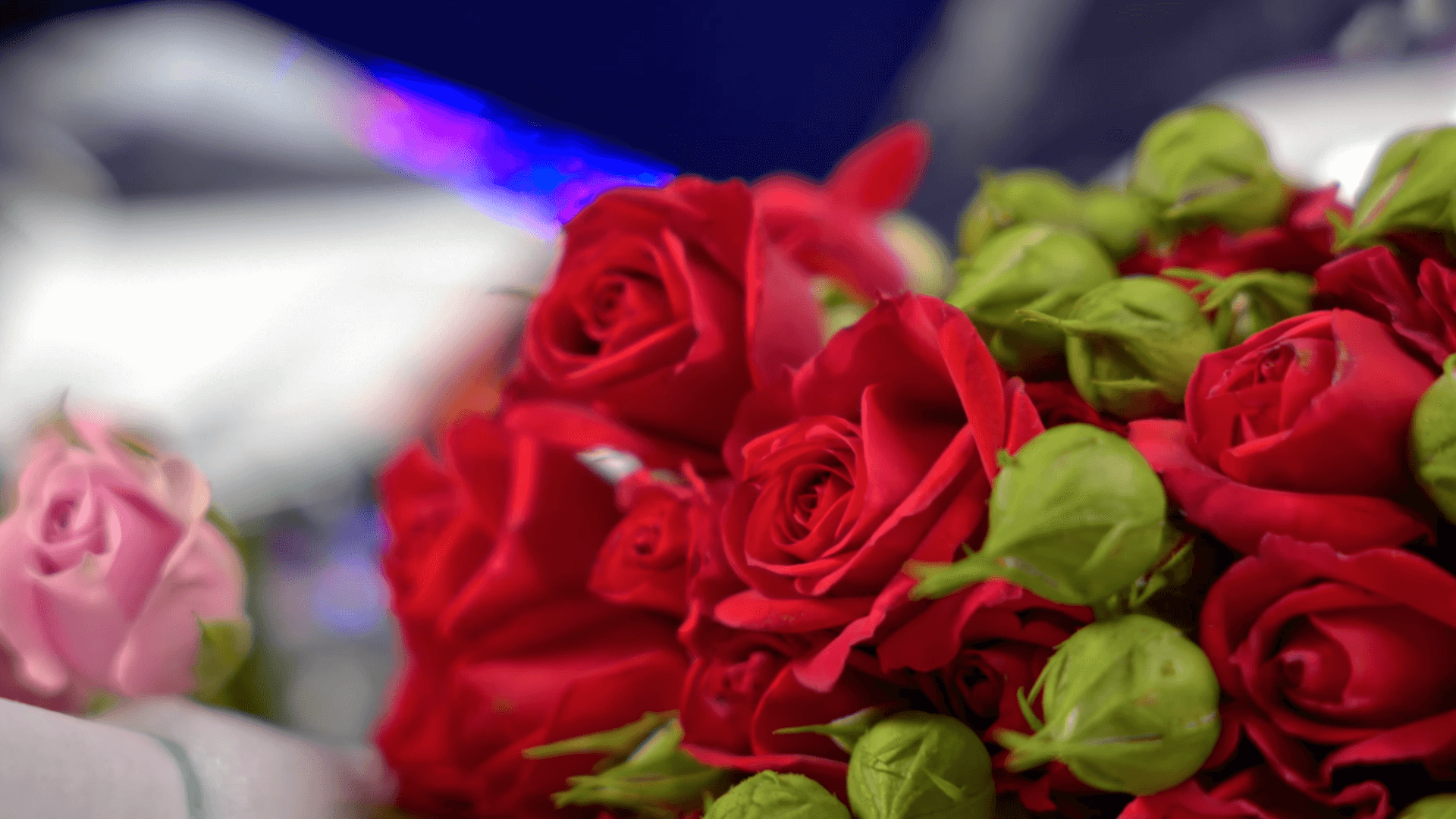 Микс роз: что это и почему их стоит покупать каждому цветочнику