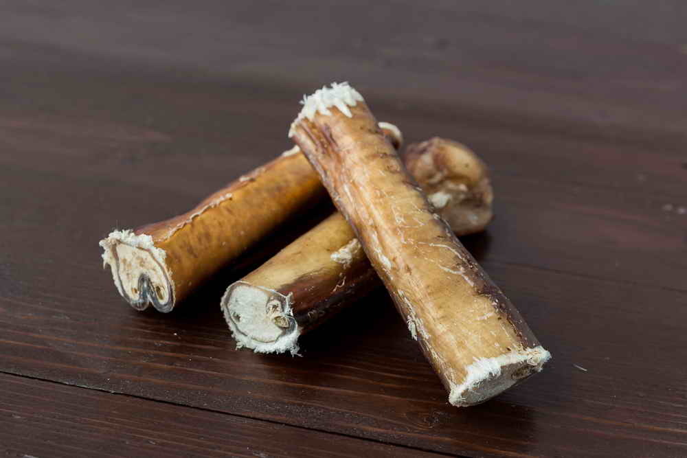 собачонка корень. звуковой анализ слова щенок. бараний корень для собак. собака грызет бычий корень. корень бычий 30см 1шт.