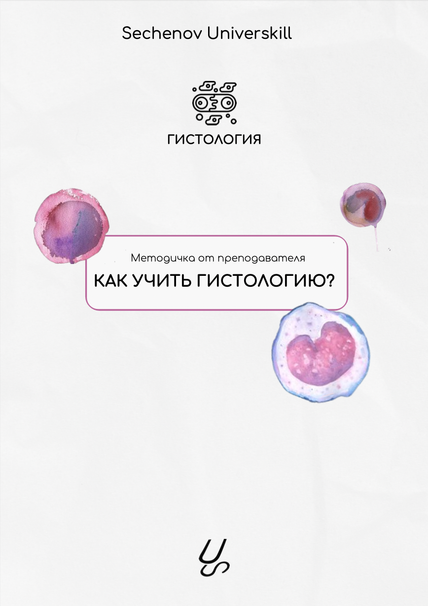 Методичка от преподавателя "Как учить гистологию?" | Sechenov Universkill - медицинские курсы без медицинского