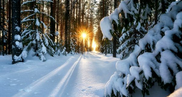 Климатолечение