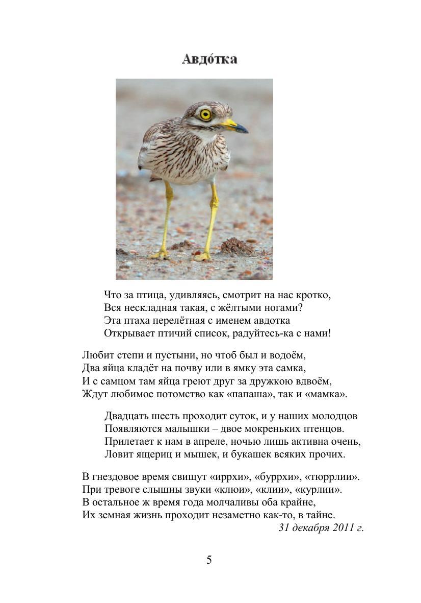 Как можно описать птицу. Как можно описать птицу