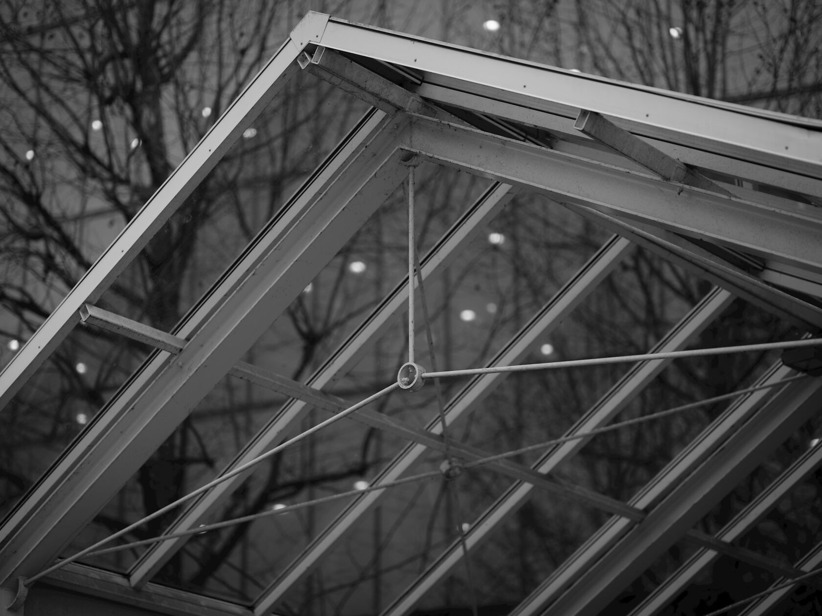 Canopies & Structures