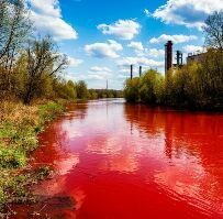 Экологическая ответственность предприятия — роль безопасных моющих средств