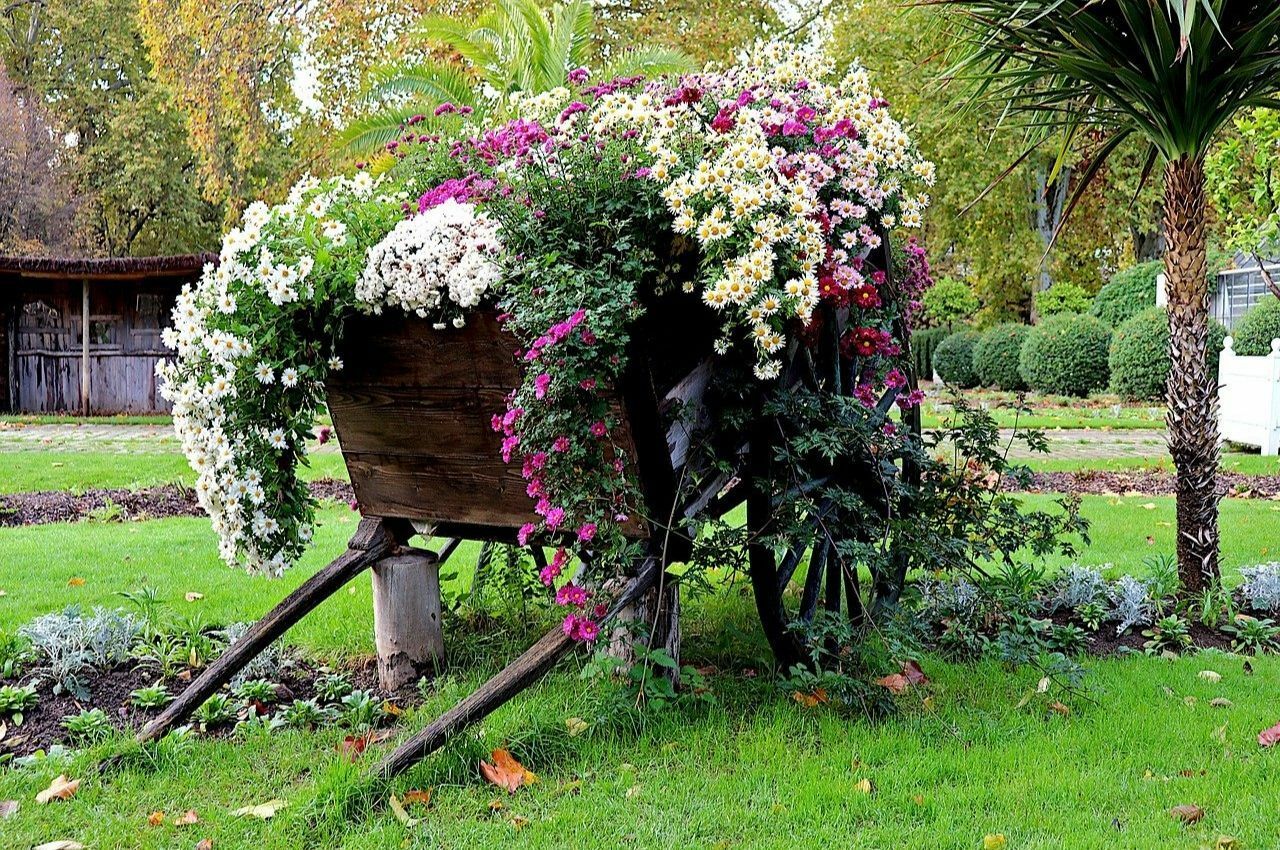 Just garden. Old Flower Beds.