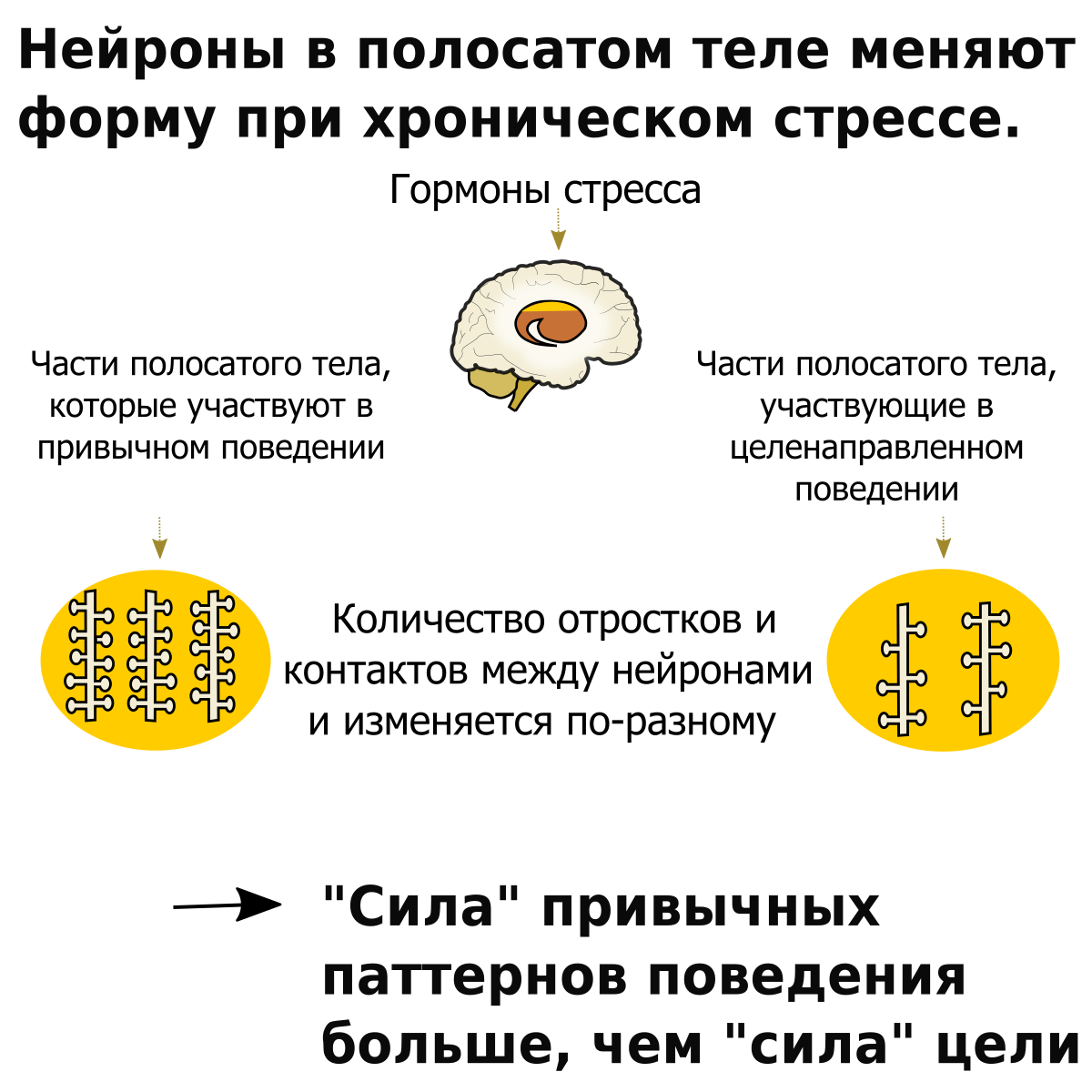 Рескриптинг в схема терапии это