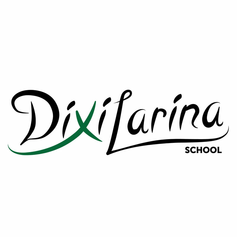 логотип школы конного фото dixilarina