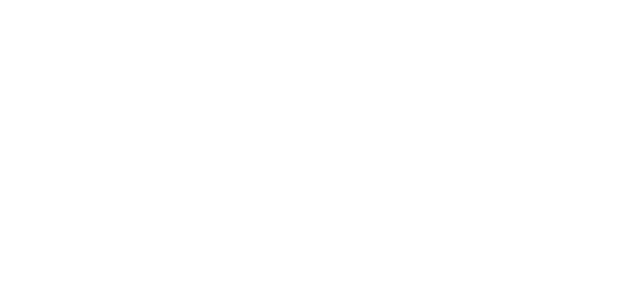BOOSTER SOUND