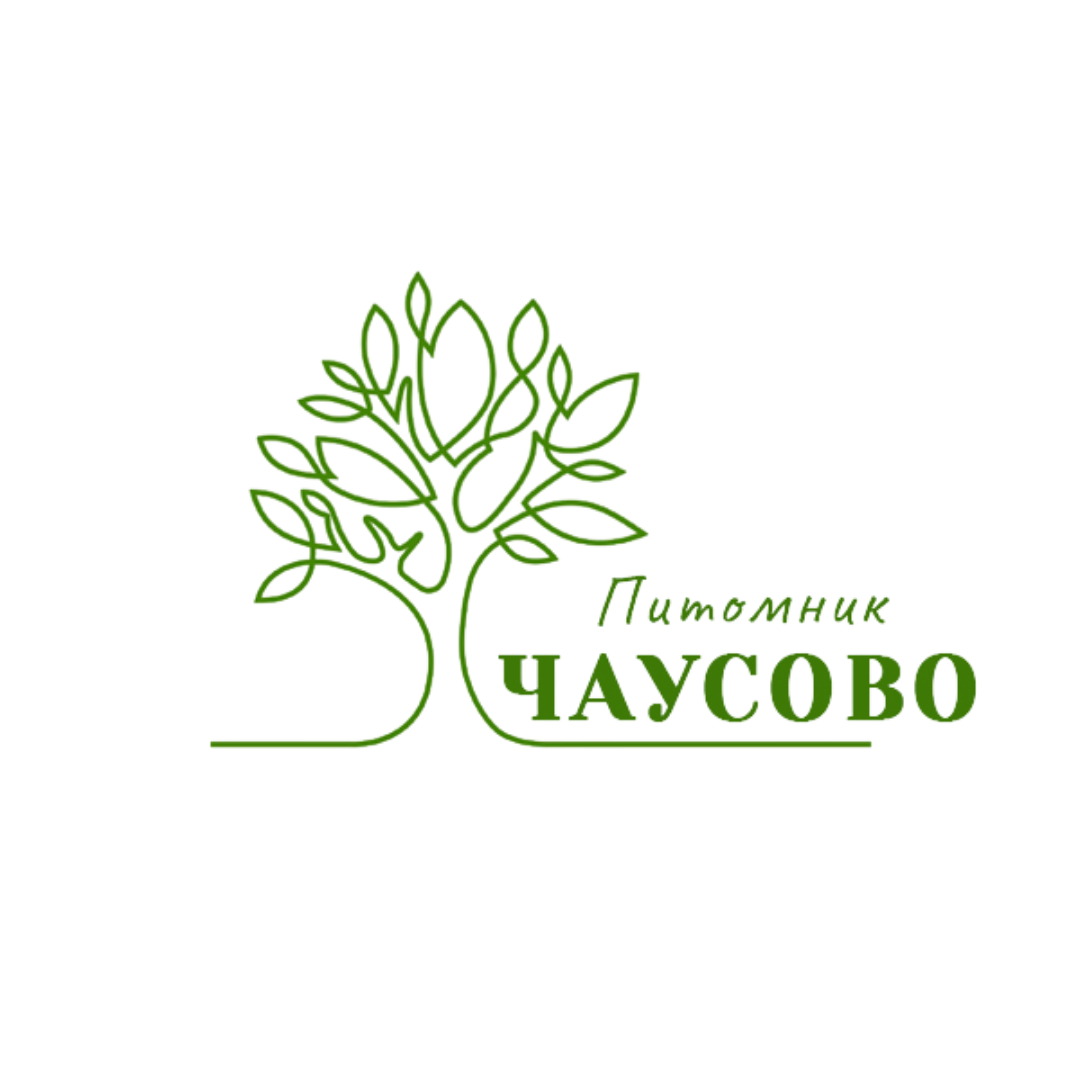 Питомник в Чаусово | Питомник хвойных растений | Туи оптом | Смарагд опт | Брабант оптом