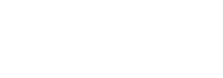 Каркас Лайн