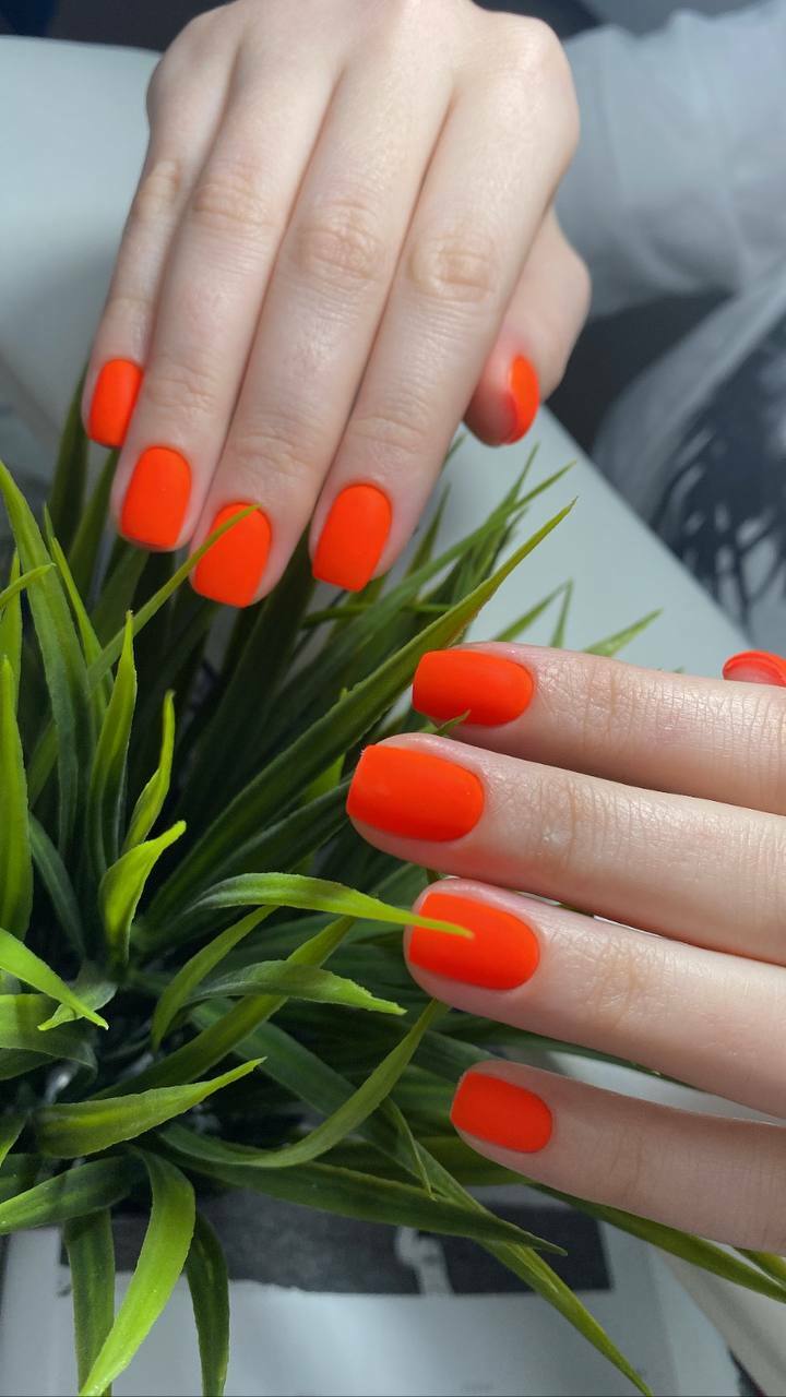 Cтудия красоты CHERNIKA NAILS // Севастополь