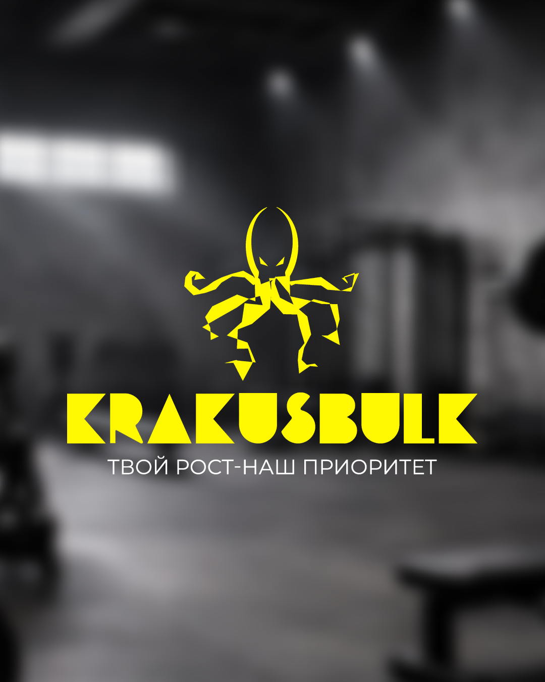Логотип KRAKUSBULK