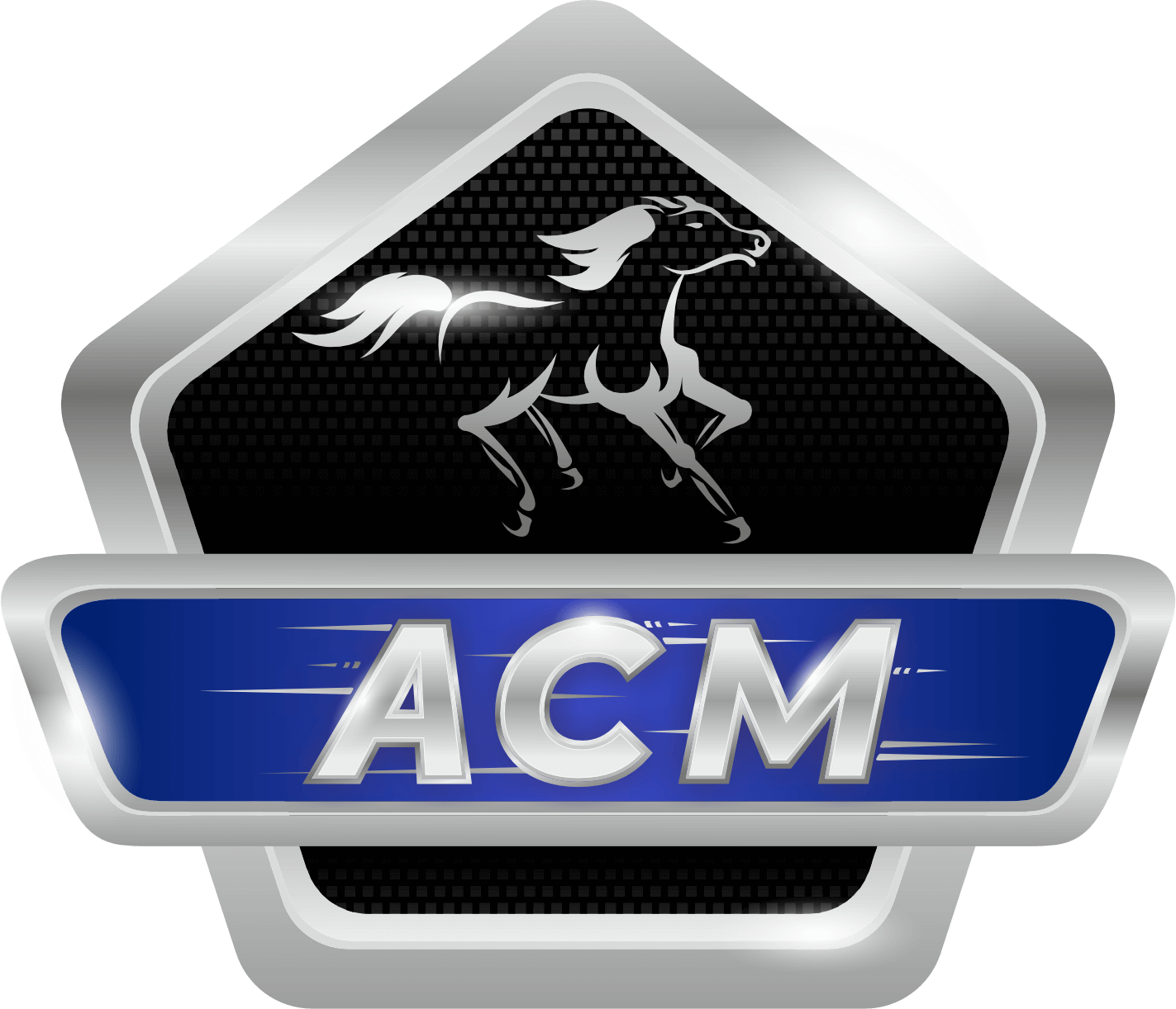 Наша команда