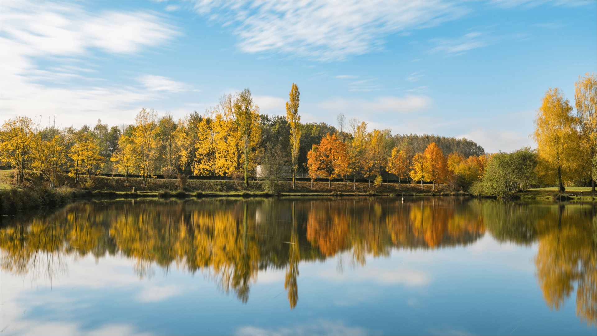 Пруды и лесные прогулки
