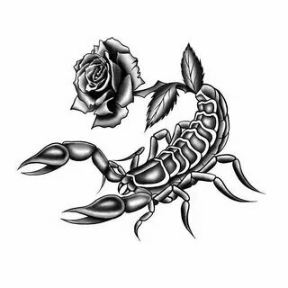 Татуировки Для Тела Скорпиона