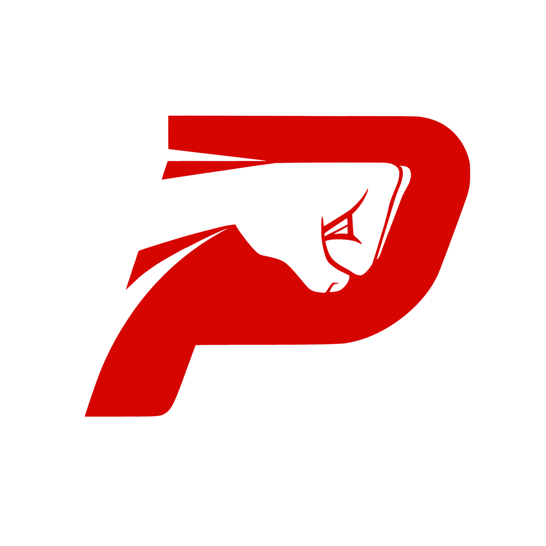 Бокс в Туле - Pavelis Boxing