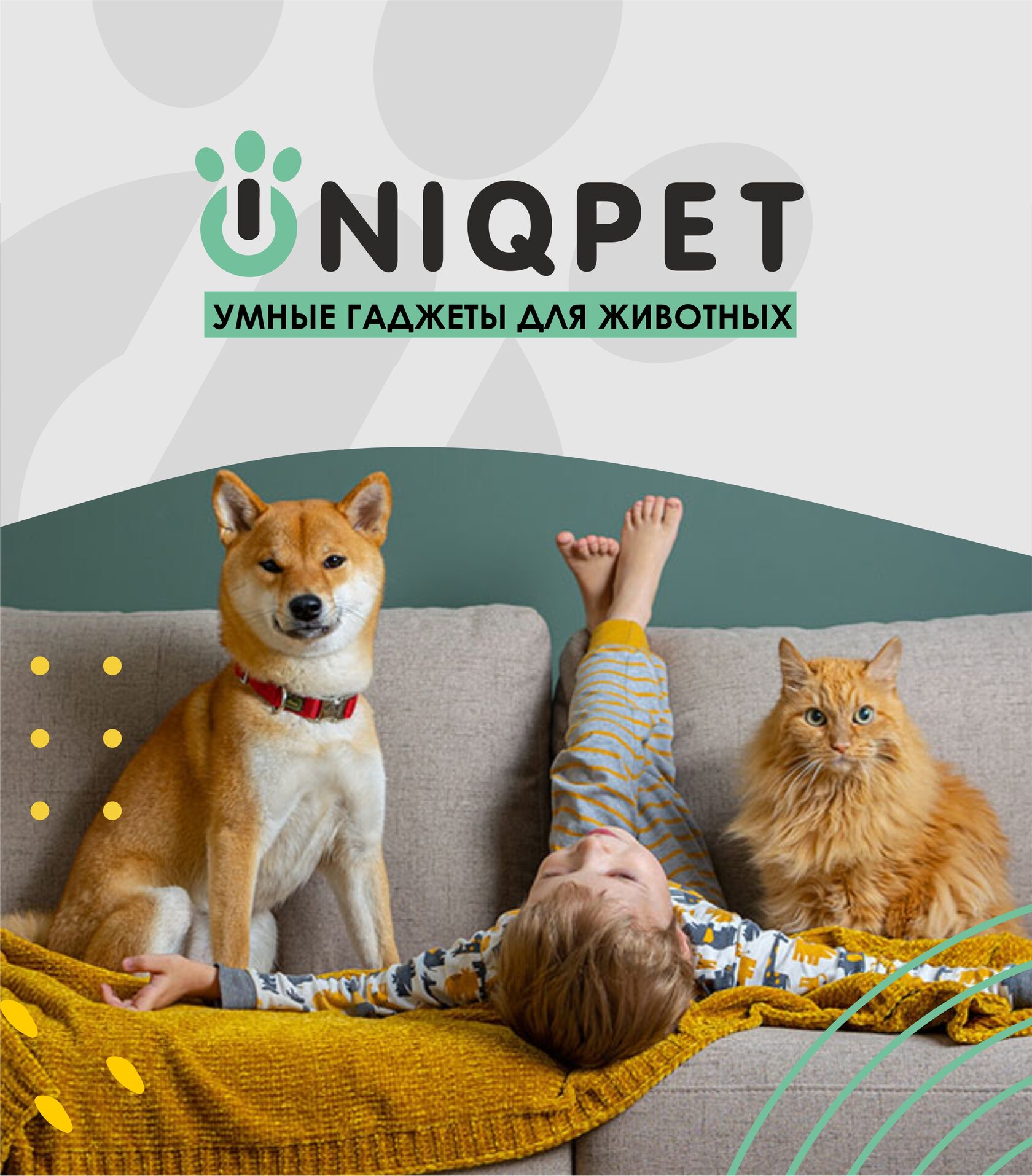 UNIQPET умные гаджеты для животных