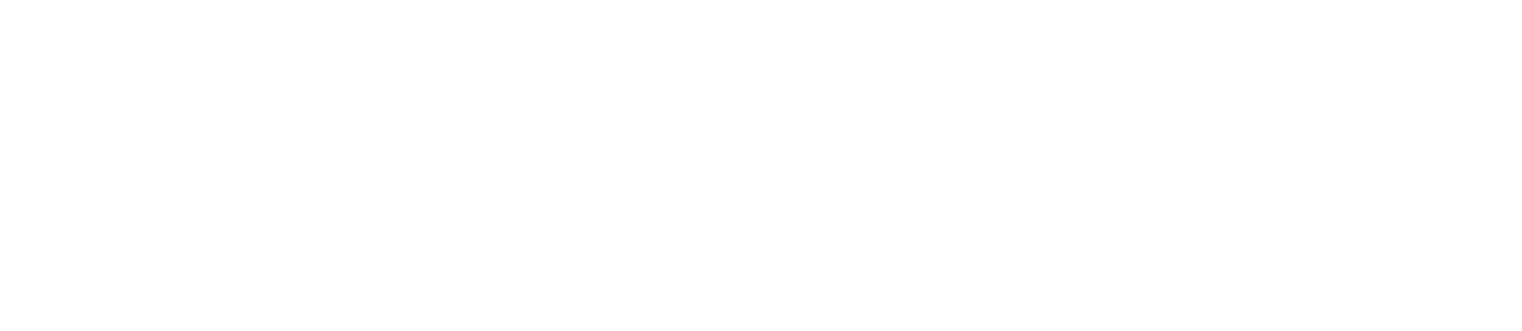 ANlead