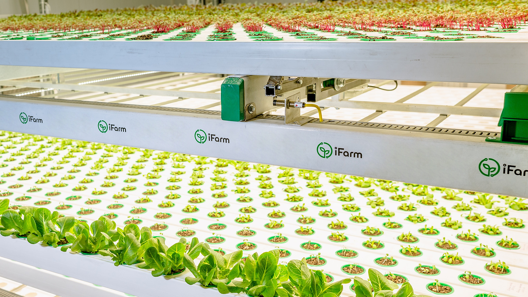 Fully Automated vertical farming technology cuts labour costs and energy bill