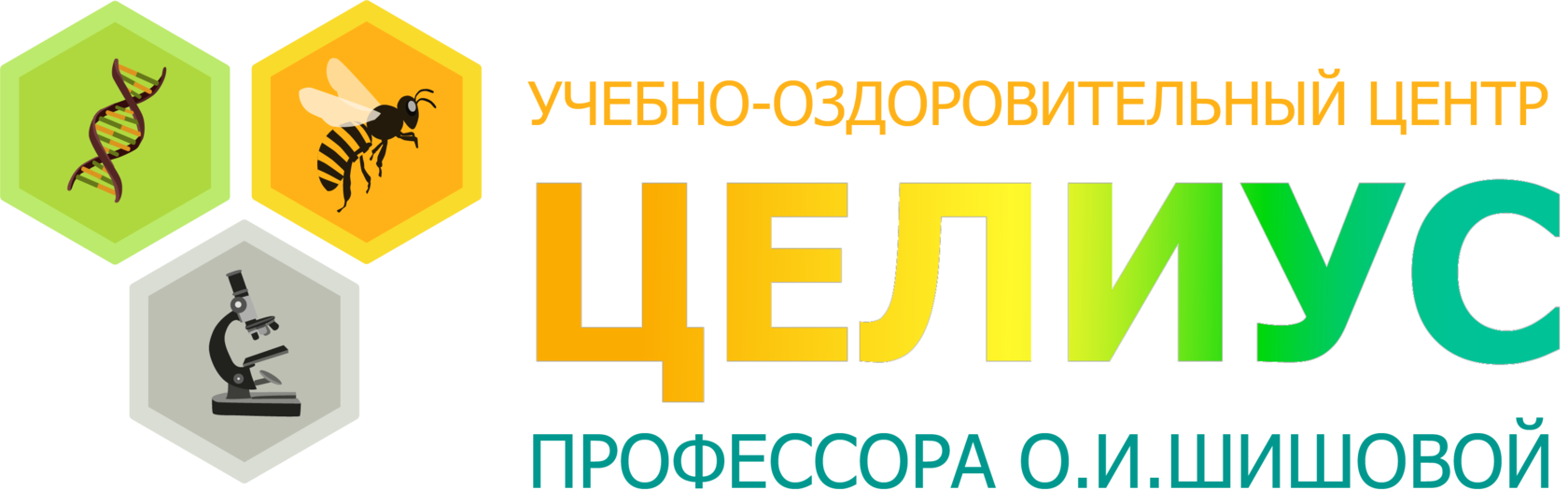 Целиус интернет магазин шишова каталог с ценами. ЦЕЛИУС интернет магазин. Учебно оздоровительный центр ЦЕЛИУС. ЦЕЛИУС медицинский центр Шишовой. Код здоровья профессора Шишовой.