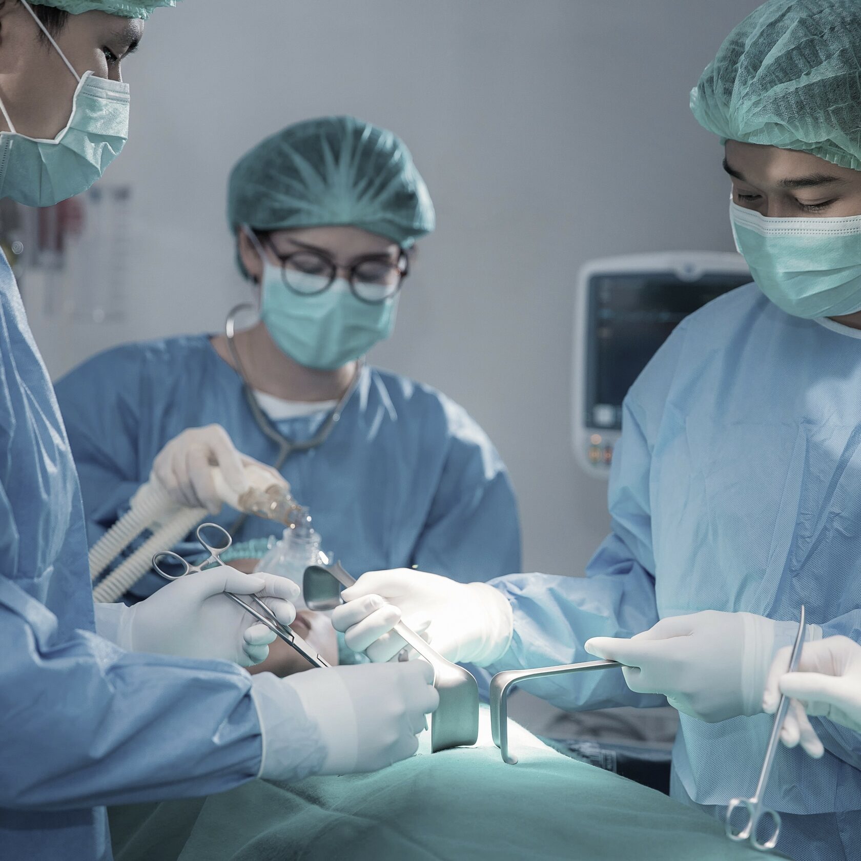 Благотворительный фонд поможи животных, помощь животным, взять кошку из приюта, взять собаку из приюта