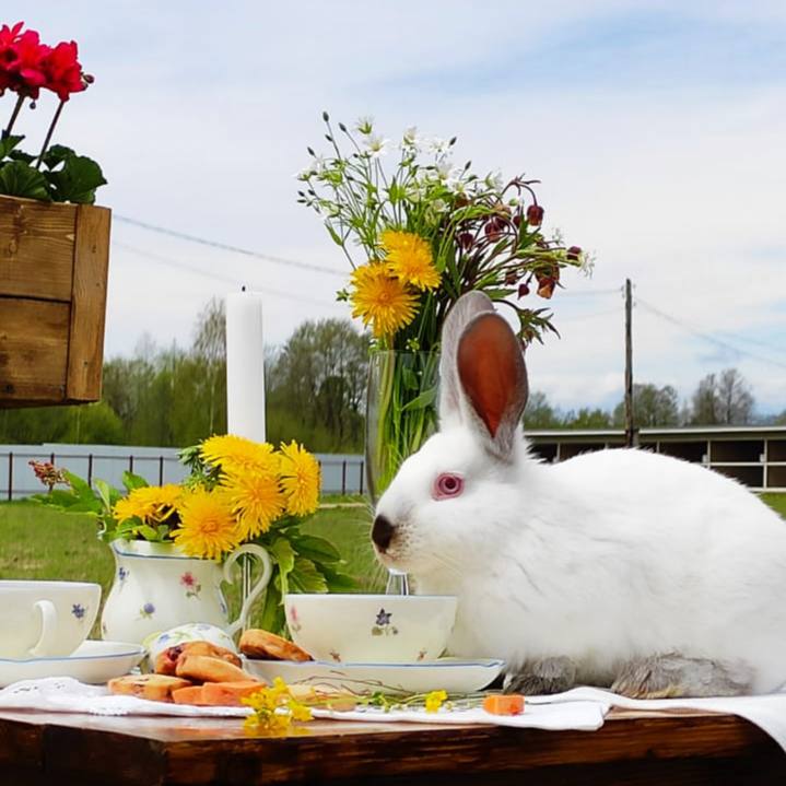 Фермерская гастрономическая экспедиция: гастрономический тур на 2 дня