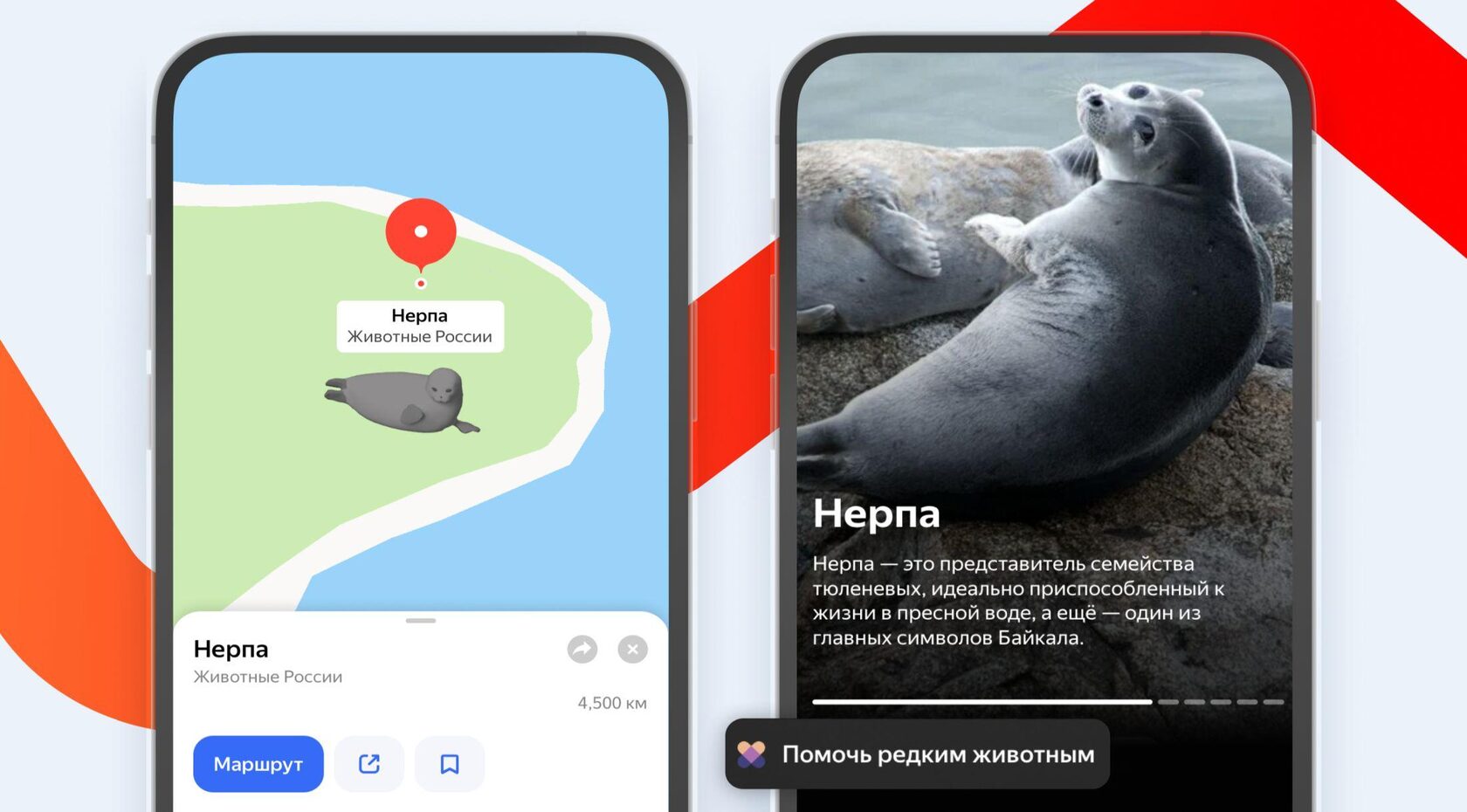 Яндекс разместил на карте трехмерные модели исчезающих видов животных России