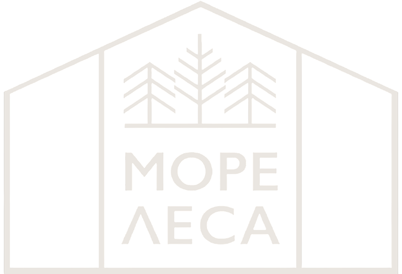 площадка для проведения свадеб