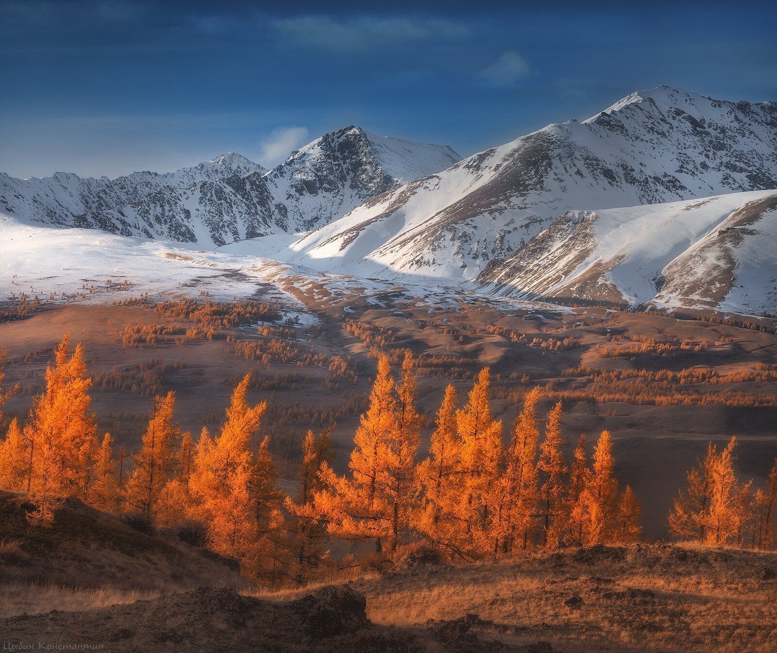 Золотые горы алтая фото
