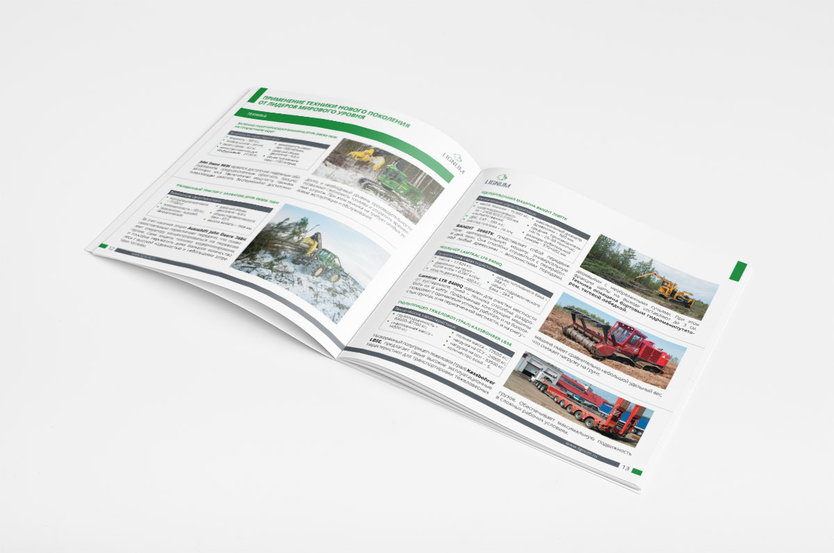 Лигнум башкорты. Башкирская аборигенная лошадь. Лошадь из башкирского орнаментом. Башкорт иле база отдыха в бурзянском районе. Калмыцкая лошадь.