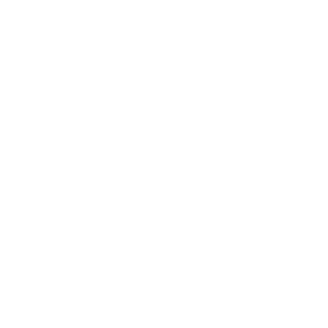 website icon