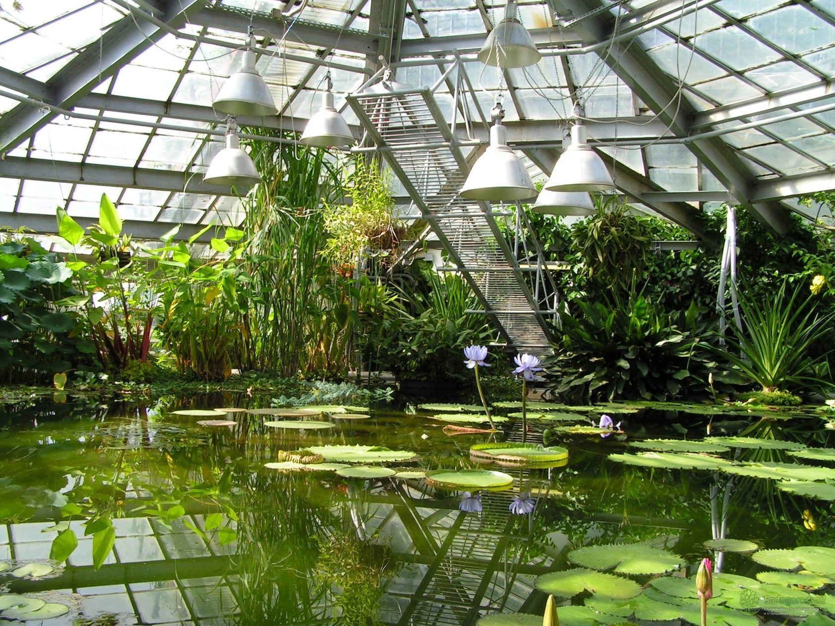 ботанический сад санкт петербург субтропический маршрут