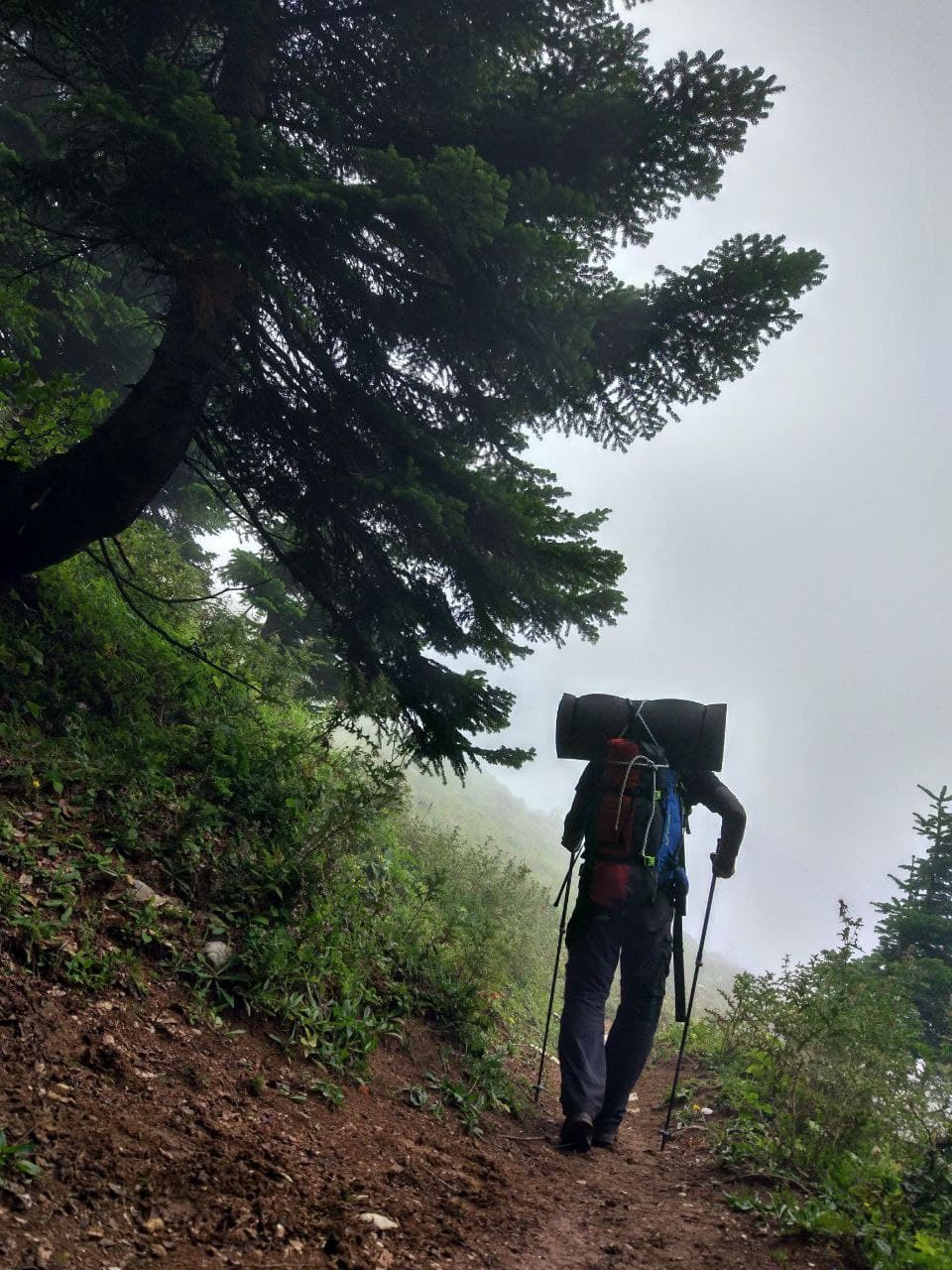 Трекинг Мамдзышха