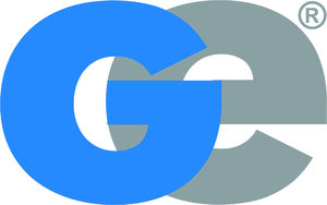 website icon