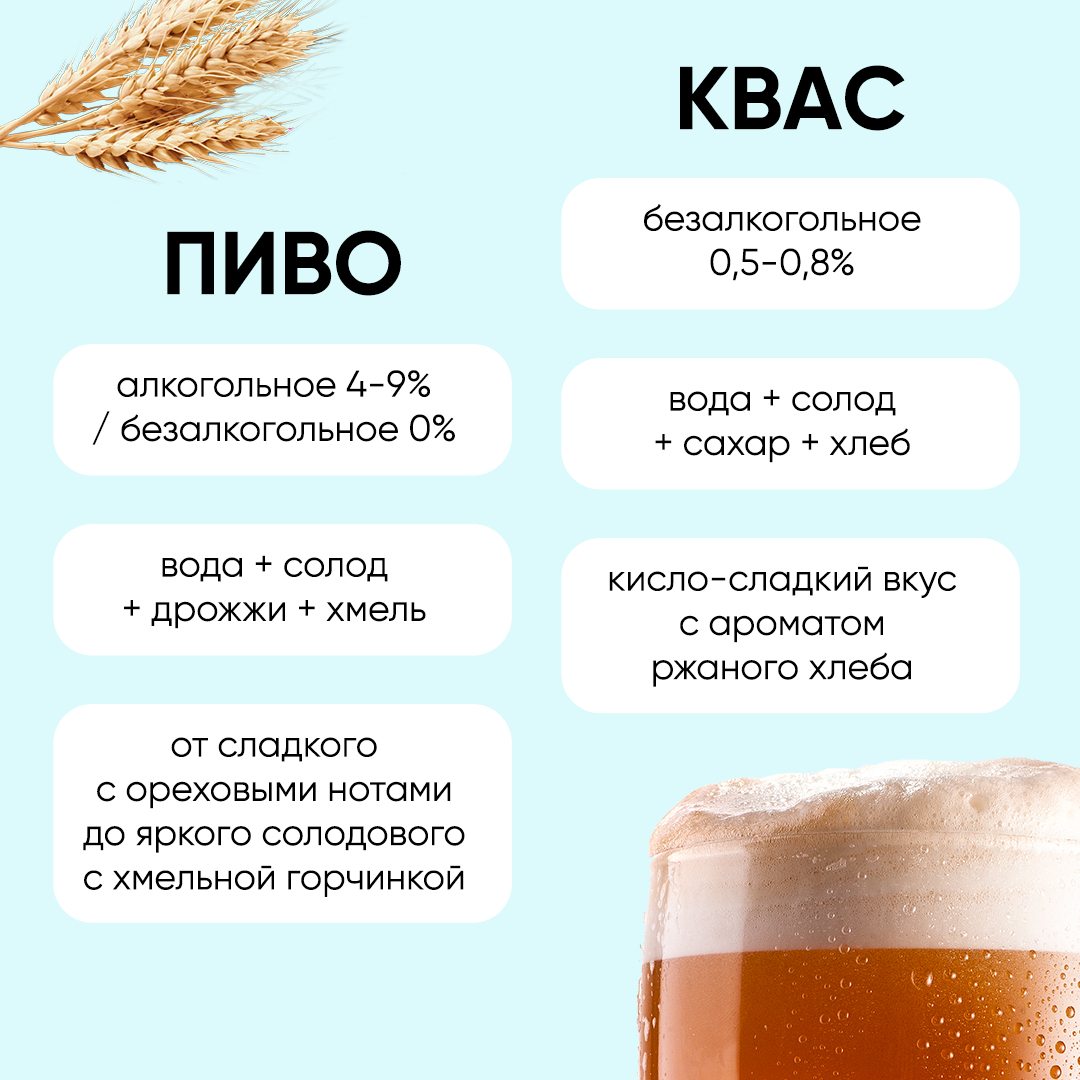Пиво воняет. Слабоалкогольное пиво. Пивной квас. Пиво и квас. Квас vs пиво.