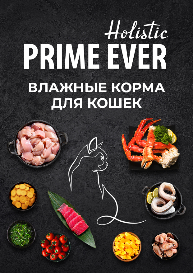 Prime ever для кошек. Prime ever корм логотип. Prime ever Holistic.