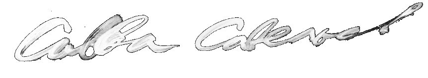 САВВА САВЕЛЬЕВ