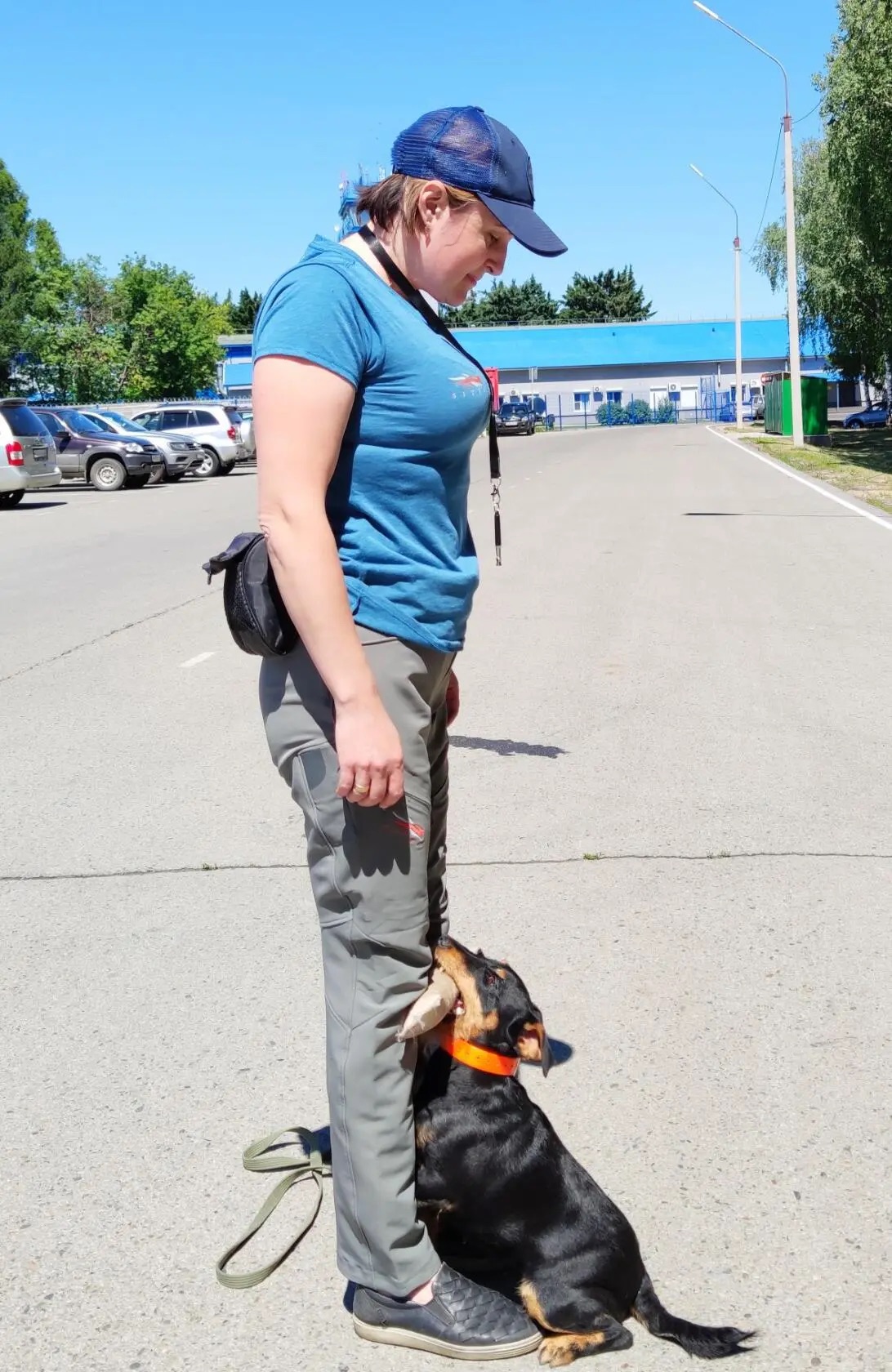 Поднос аппортировки.