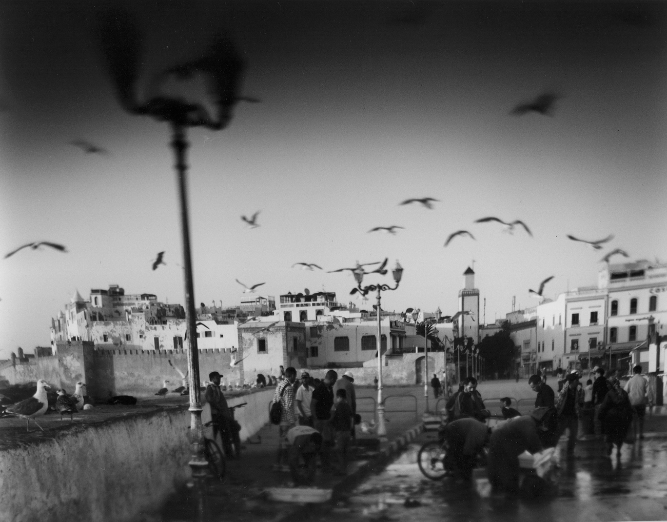 Fish Sellers. Essaouira. Morocco. 2007–2011. BW Negative 4×5 inch.