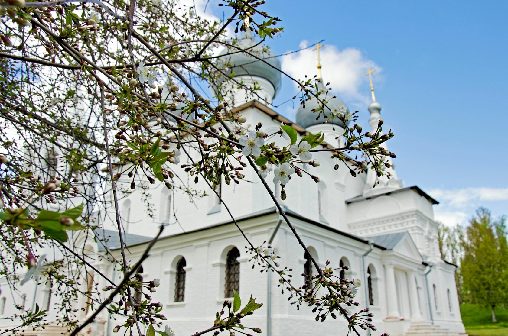 Путешествие в Тутаев