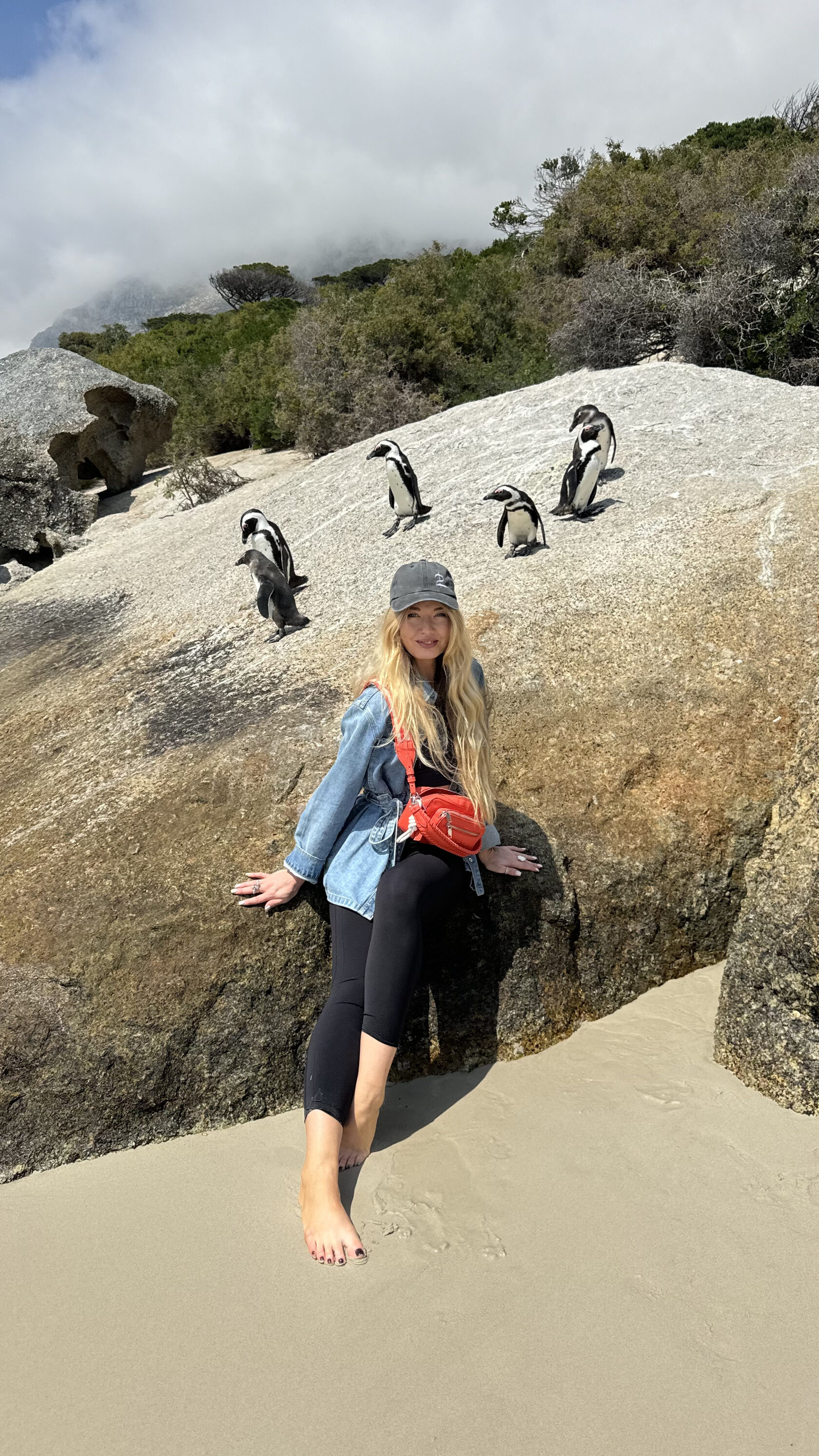 Африканские пингвины на пляже Boulders Beach