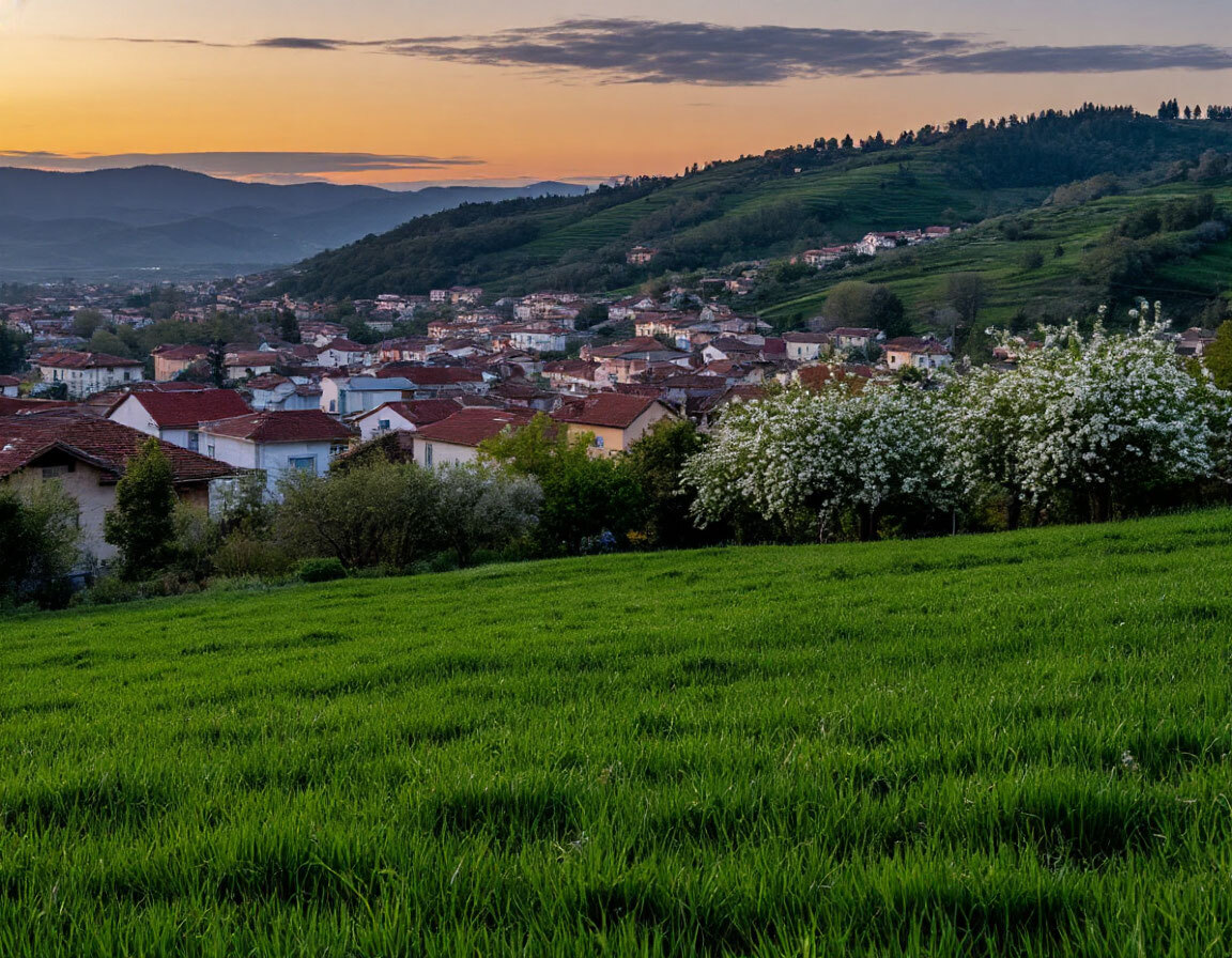 Италия. Поля