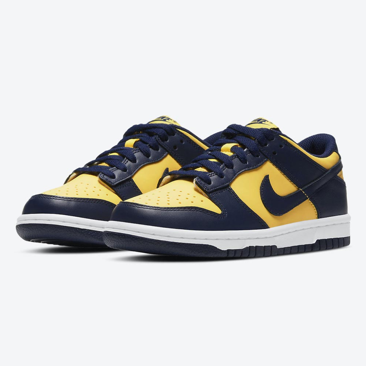 Nike 2025 dunks michigan